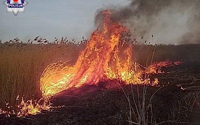 Wypalanie traw to głupota