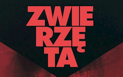 "Zwierzęta" w DKF