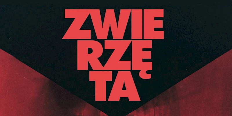 "Zwierzęta" w DKF