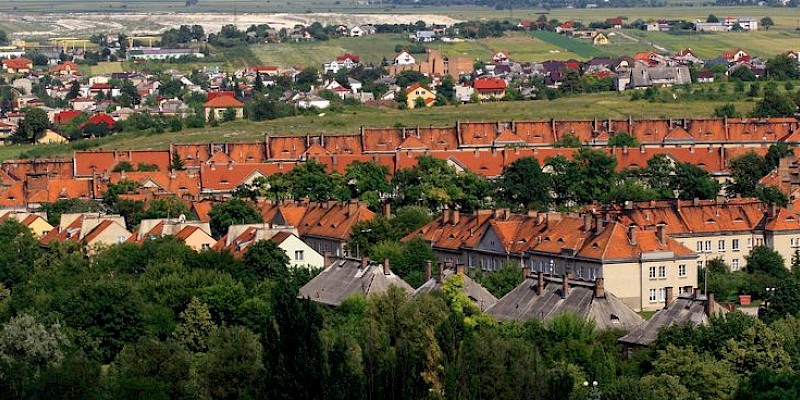 Zostań gwiazdą filmu o „Dyrekcji”