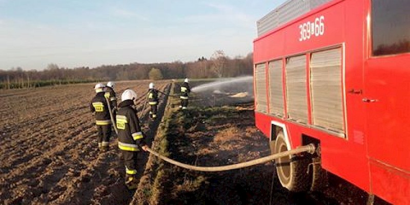 Zaczęło się wypalanie traw w regionie