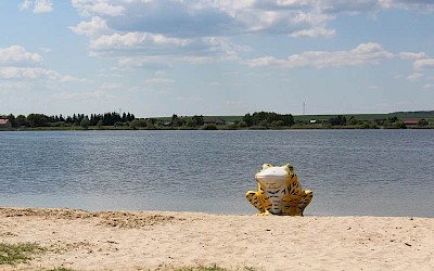 Turniej dzikich drużyn w piłkę o Puchar Wójta Gminy Chełm