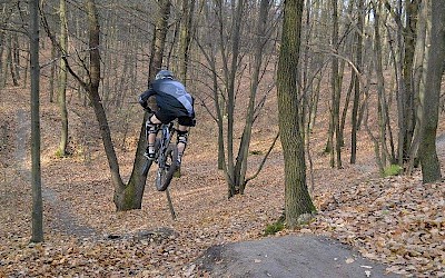 Nadleśnictwo vs rowerzyści. "Hopki" znikną z Kumowej Doliny?