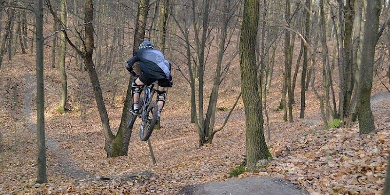 Nadleśnictwo vs rowerzyści. "Hopki" znikną z Kumowej Doliny?