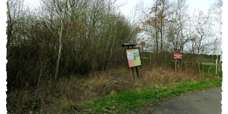 NASZA INTERWENCJA: Natura 2000 nareszcie zgodnie z naturą!