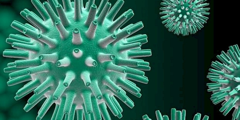 Bezpłatne badania na obecność wirusa HCV