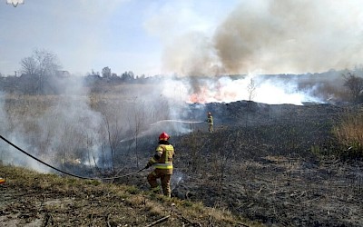 Znów płoną trawy...