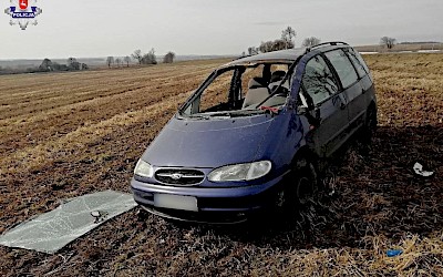 Czarnoziem. Nie chciała potrącić sarny