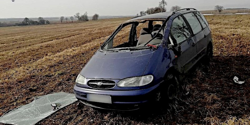 Czarnoziem. Nie chciała potrącić sarny