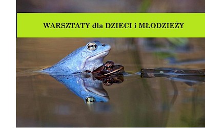 Warsztaty przyrodnicze w muzeum