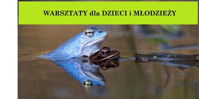 Warsztaty przyrodnicze w muzeum